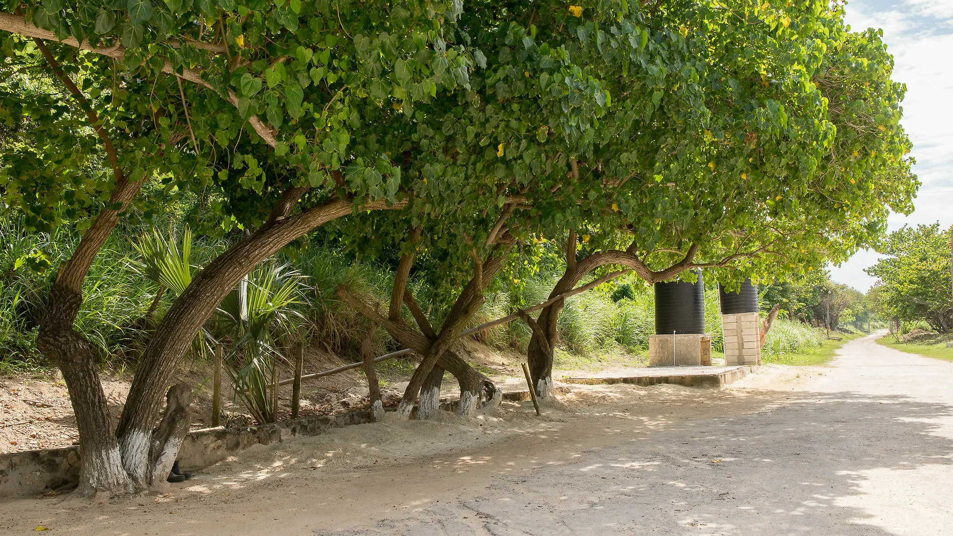 Seacastles Exora Beach Suite Montego Bay